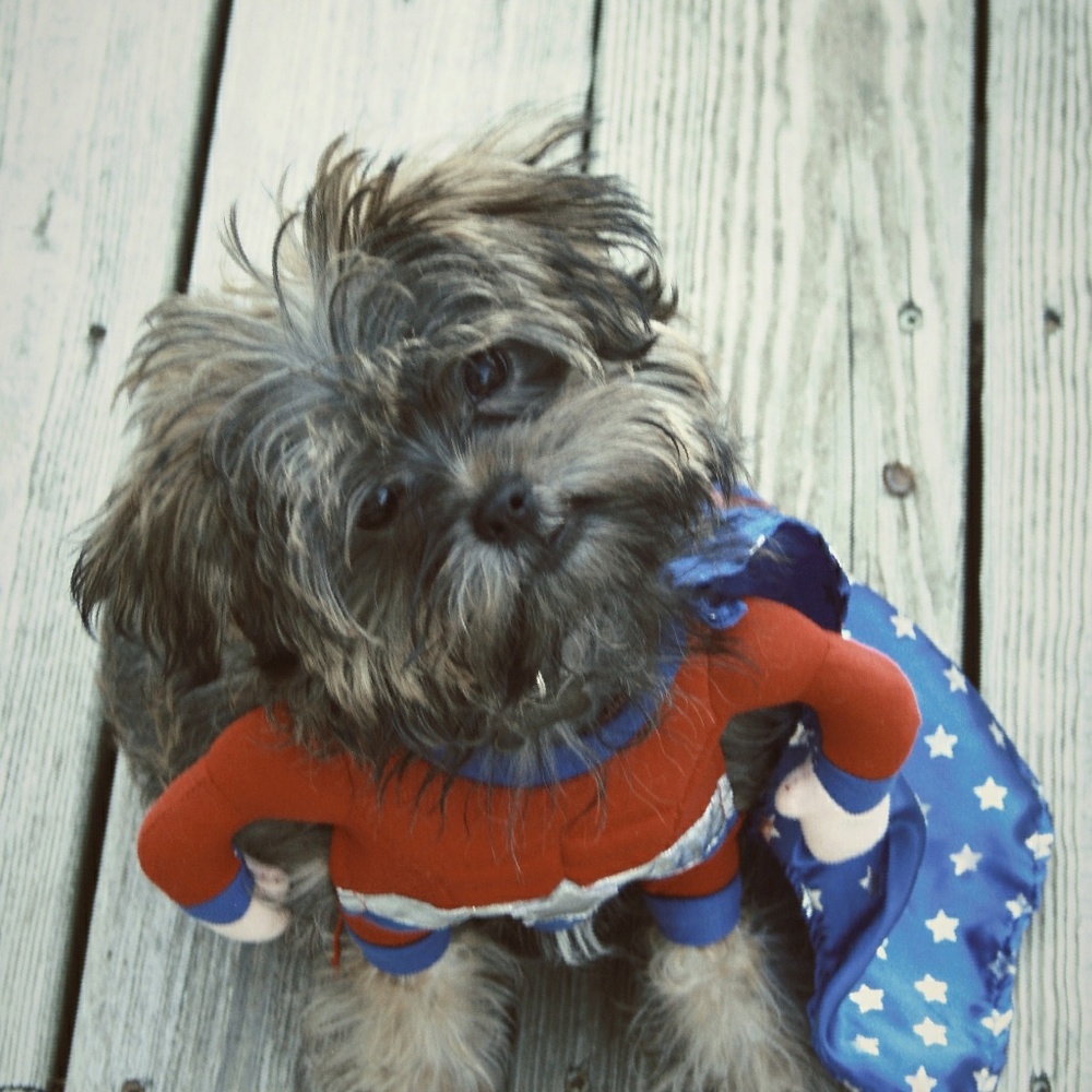 Meet your Posher, Tori